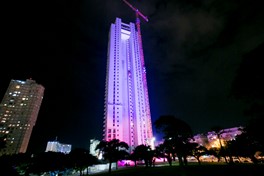 Nave Noff Tower - International illumination in Pink 2012 
